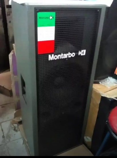 Montarbo T215 Full range speaker